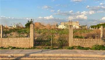 WhatsApp Image 2026-01-13 at 08.54.04.jpeg